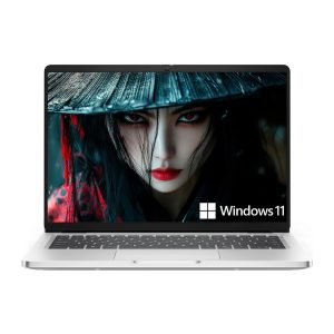 DELL PORTATIL PRO 14 PC14250 SILVER ULTRA 7 255U 16GB 512GB  SSD  WIN 11 PRO 2HWN3